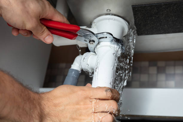 Best Fire Damage Restoration  in Worthington, MN