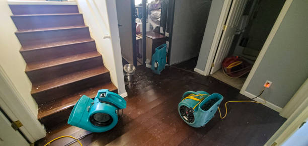 Best Basement water damage restoration  in Worthington, MN