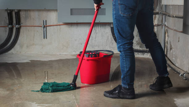 Best Carpet water damage restoration  in Worthington, MN