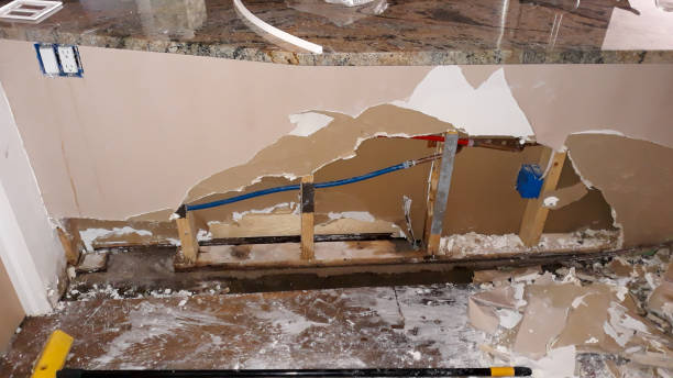 Best Flood damage cleanup  in Worthington, MN