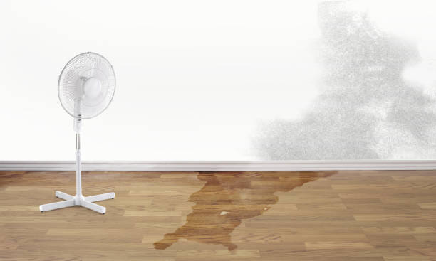 Best Water damage restoration near me  in Worthington, MN