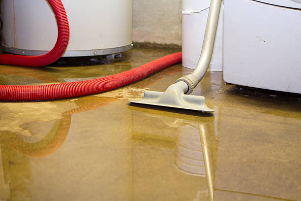 Best Sewage cleanup and water damage restoration  in Worthington, MN