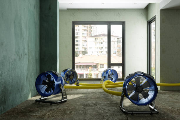 Best Emergency water damage restoration  in Worthington, MN